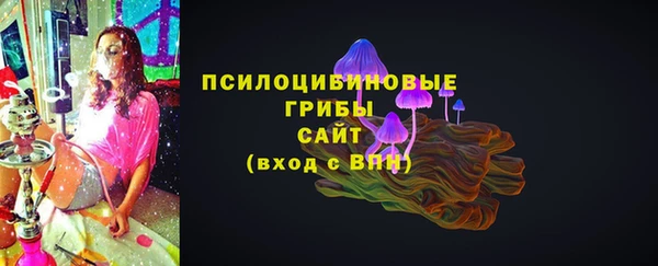 дурь Аркадак
