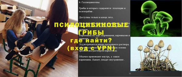 дурь Арсеньев
