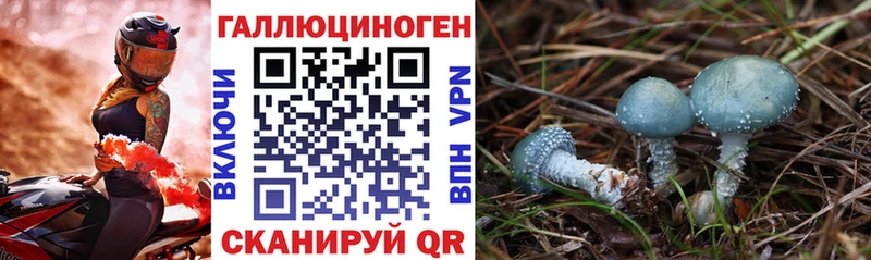 Псилоцибиновые грибы Cubensis  магазин    Ярцево 